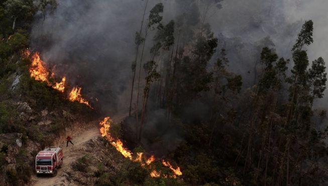 Efectul extrem al caniculei. După Grecia, un incendiu MAJOR de vegetaţie a izbucnit în Portugalia
