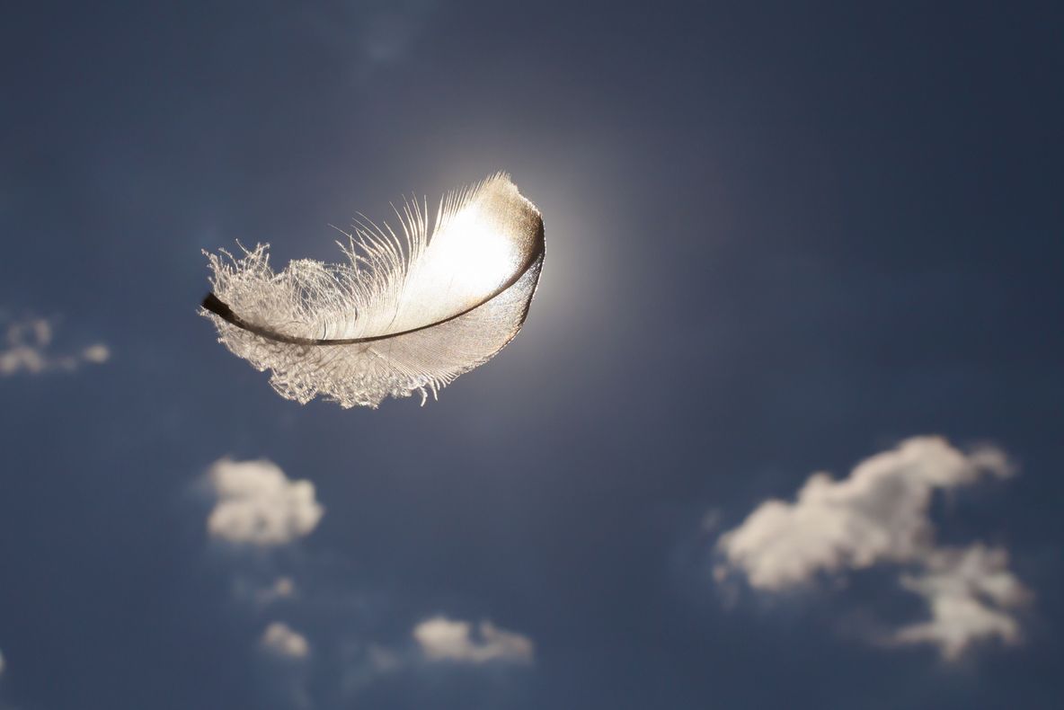 Cum ştii că îngerul tău păzitor este în apropiere. Semnele care îţi vor da fiori 