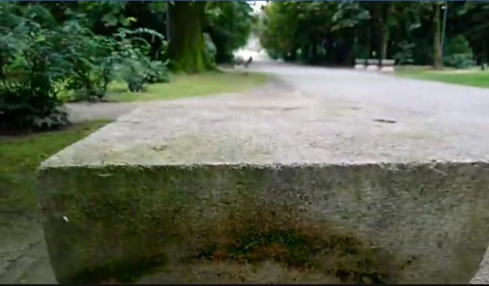 Operele lui Brâncuşi, invadate de formaţiuni de muşchi verzi. Bătaia de joc a autorităţilor