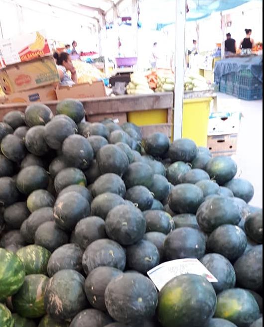 A ieșit cultura a doua de pepeni verzi de Dăbuleni