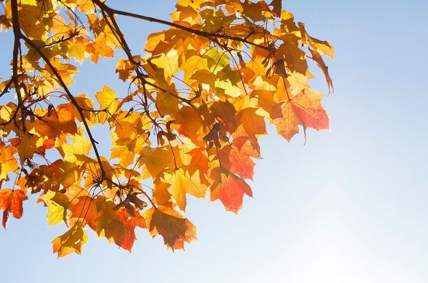 Prognoza meteo pe două săptămâni. Vremea extremelor: arşiţă şi furtuni violente aproape zilnic