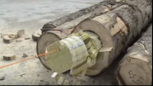 Dosarul țigărilor ascunse în bușteni, în instanță după cinci ani(VIDEO)