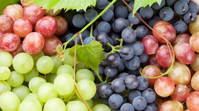  Primii struguri s-au copt deja într-o comună din județul Buzău. Cât costă un kilogram de trufandale