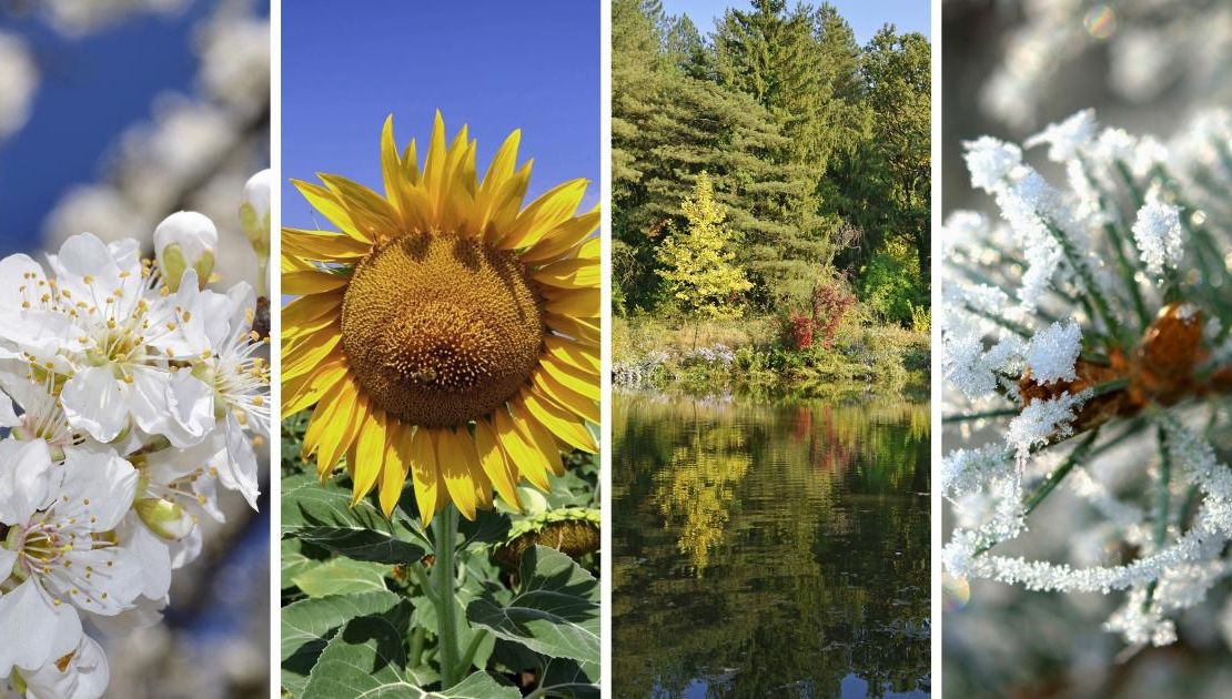 Structura anotimpurilor în România se va schimba. Avertismentul unui climatolog