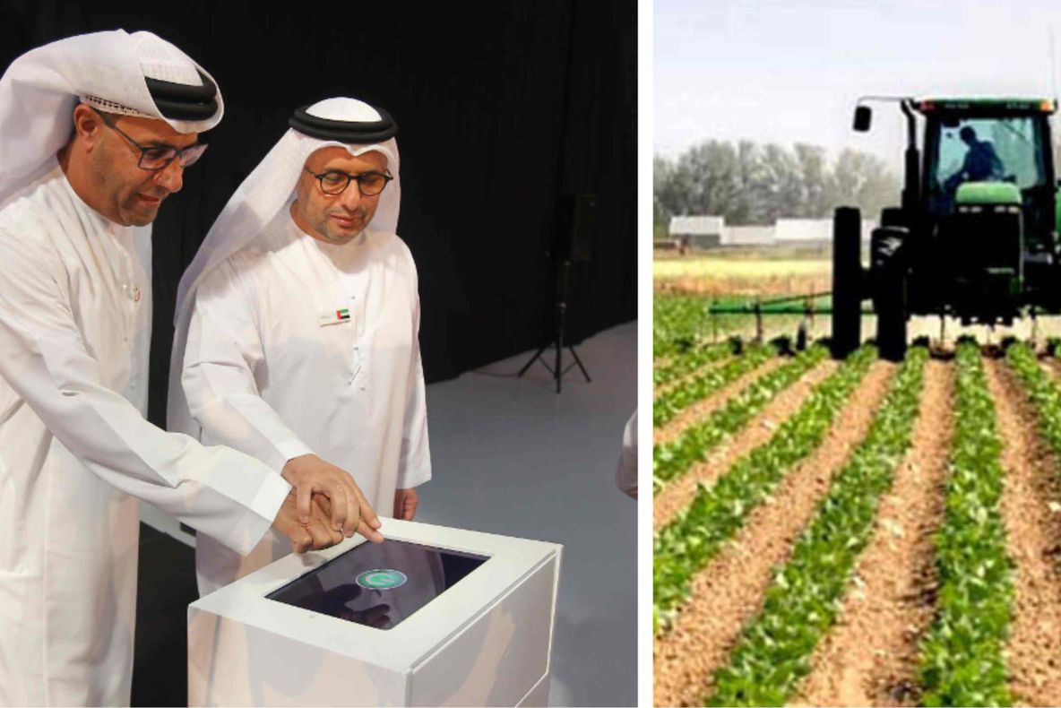 Arabii au cumpărat o bucată din România. Altă sumă uriașă va fi cheltuită în următorii 5 ani