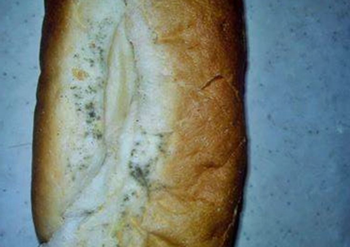 Cornuri cu mucegai într-o școală din Bistrița-Năsăud. FOTO