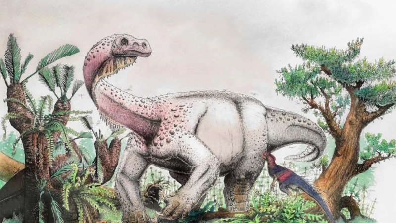 Descoperire recentă: cât cântărea cel mai mare animal de pe Terra