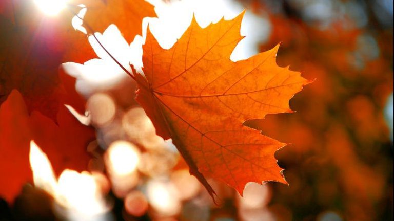 Azi este echinocțiul de toamnă. Când trecem la ora de iarnă 