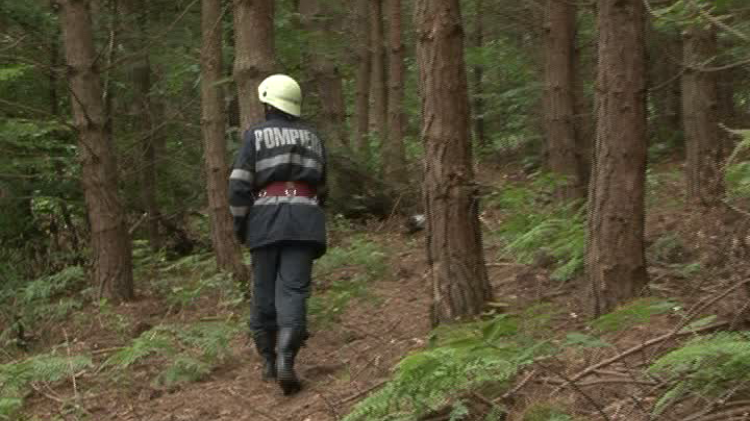 Trei copii, care au plecat cu bicicleta prin pădure, sunt căutaţi activ de pompieri