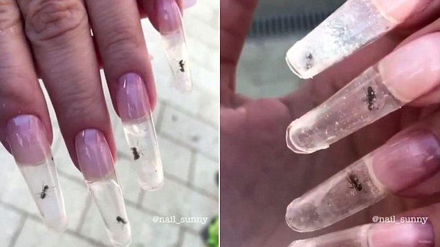 Moda a luat-o razna: manichiura cu furnici vii