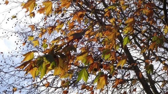 România, lovită de un val de AER POLAR! Vremea, schimbări DRAMATICE, răcire accentuată!