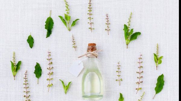 Planta care nu ar trebui să lipsească din casă. Iată cât de benefică este!