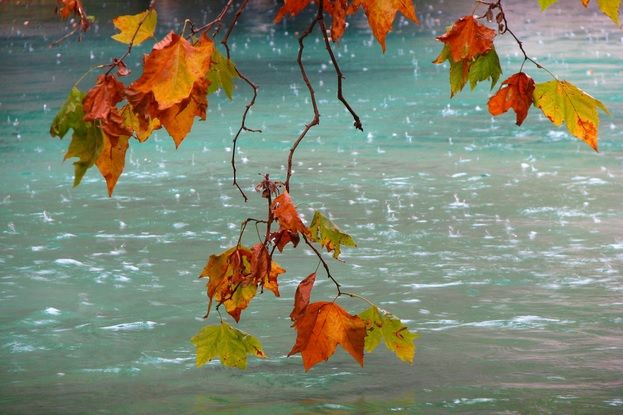 Toamna îşi intră în drepturi: când încep ploile torenţiale. ANUNŢUL meteorologilor - HARTA 