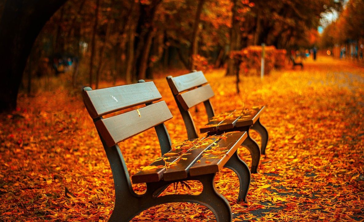 Prognoza meteo pe trei zile: Veştile sunt bune!