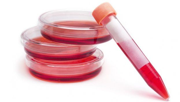 Descoperire revoluţionară: ce pot face celulele stem. E absolut uimitor 