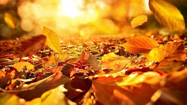 Superstiţii luna septembrie. Ce nu ai voie să faci în această lună? Aduce mare ghinion!