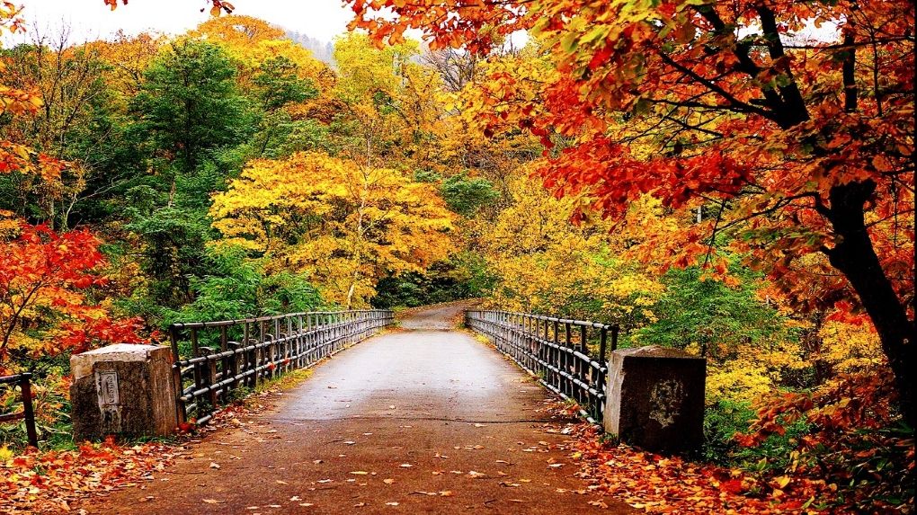 ECHINOCŢIU DE TOAMNĂ 2018. Tradiţii şi obiceiuri. Ce NU este bine să faci 