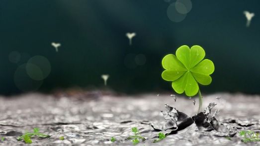 Zodii cu mari avantaje în septembrie. Câştiguri pe toate planurile 