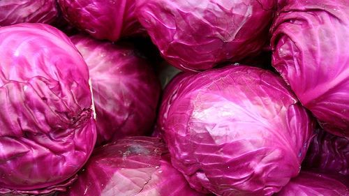 Efectul MINUNE al consumului de varză roşie. Ce spun cercetătorii