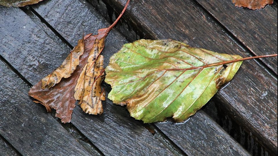 Vreme de toamnă la început de weekend. Prognoza meteo pentru joi, vineri și sâmbătă