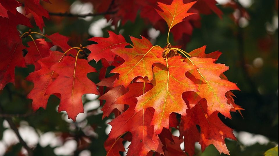Vremea: Veşti noi de la meteorologi! Prognoza pentru joi, vineri şi sâmbătă