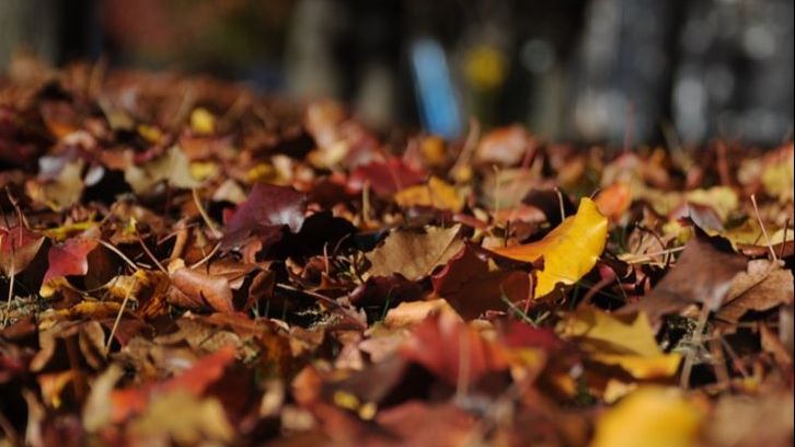 Vremea se schimbă brusc. Prognoza meteo pe patru săptămâni, pentru întreaga țară