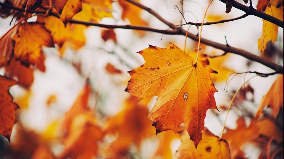 Cum va fi vremea în prima săptămână de școală. Prognoza meteo pentru toată țara