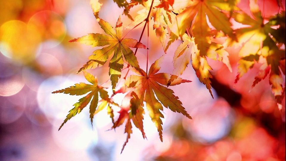 Vremea în weekend, în toată țara. Unde va ploua