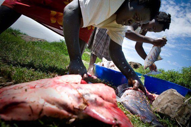 Secretul insuliței care atrage sute de locuitori și încaieră două țări. Imagini fantastice