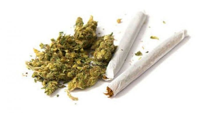 Marijuana, legală de astăzi în Canada