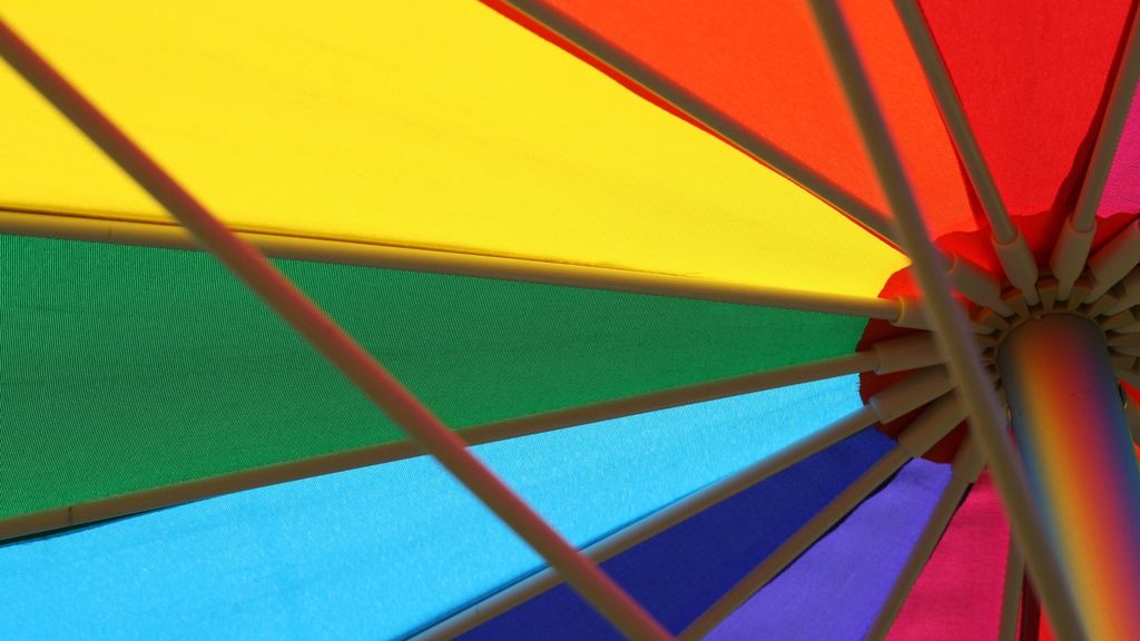 Socialiștii europeni, aliații PSD de la Bruxelles, salută eșecul referendumului