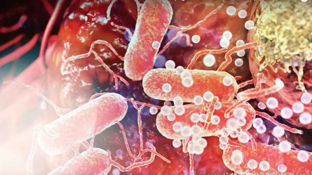 Google îţi va spune dacă ai...CANCER. Când şi cum va fi posibil aşa ceva