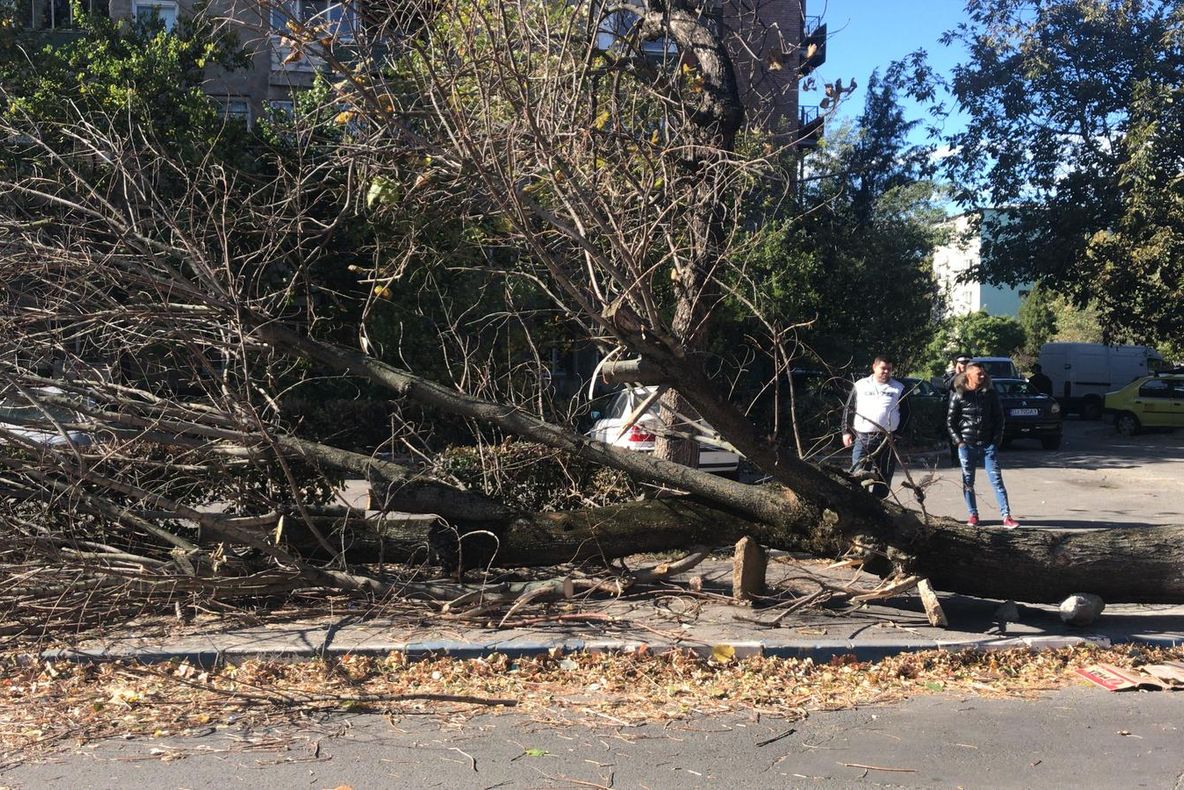 Avertizare nowcasting Cod portocaliu de averse şi vijelie pentru localităţi din judeţele Bacău şi Vrancea