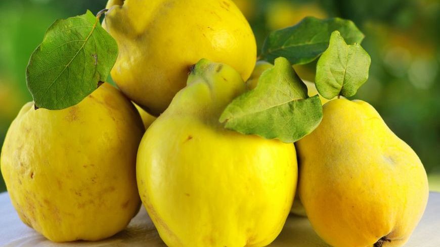 Patru boli pe care le poţi trata cu gutui