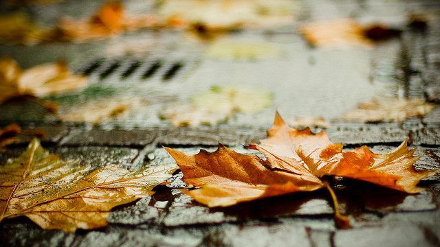 Vremea se schimbă RADICAL. De când vine frigul în România 