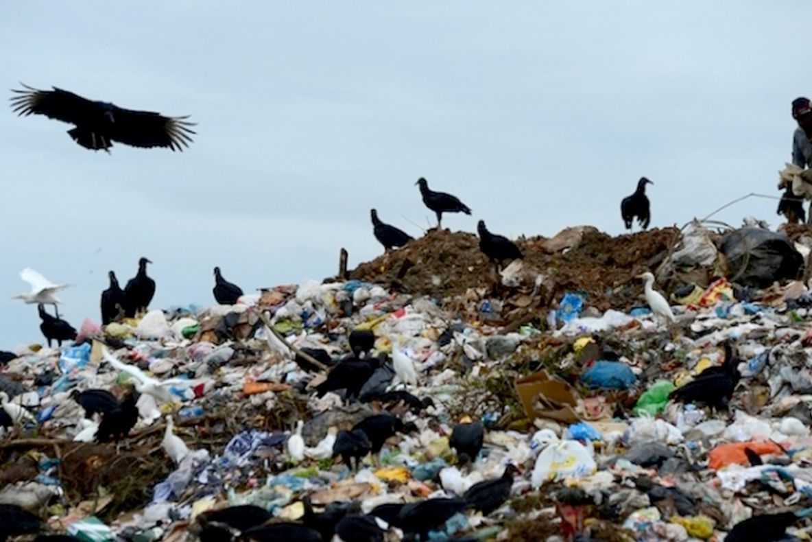 Risipa alimentară - efect DEVASTATOR asupra mediului. Aproape un miliard de tone de alimente, aruncate anual - raport ONU