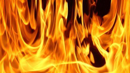 A ars de vie în propria casă! De la ce a plecat totul