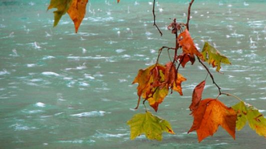 METEO. Temperaturile scad dramatic. Când începe iarna. Prognoza pe 3 zile 