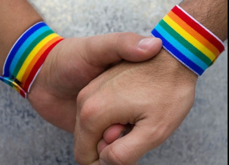 Cum va arăta parteneriatul civil. Ce vei putea face dacă îl semnezi 