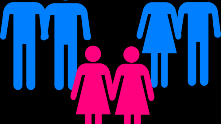 Cuplurile heterosexuale vor putea intra în parteneriate civile. Unde va fi posibil aşa ceva 