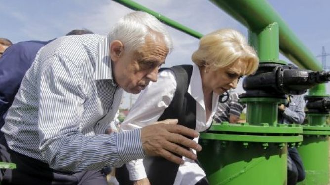 Guvernul Dăncilă a tăiat banii pentru pesta porcină din bugetul UE 