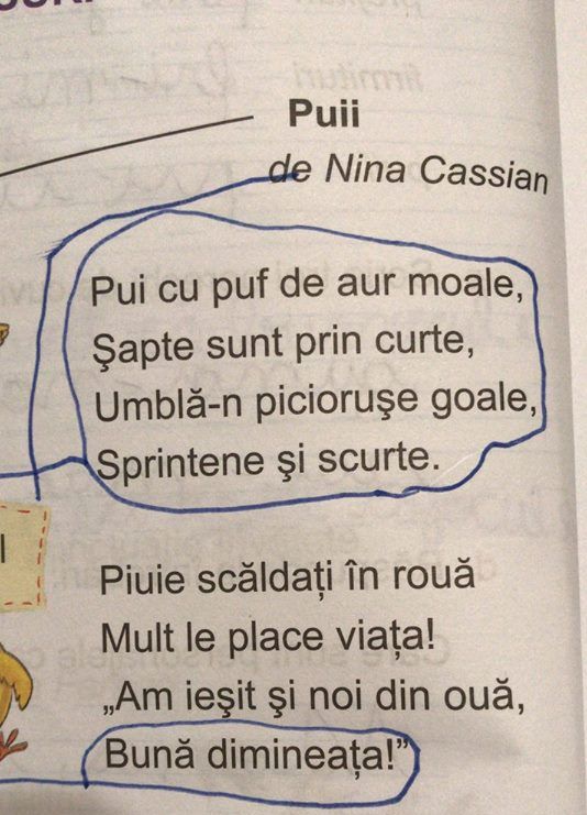 Încă o poezie "masacrată" în manualele şcolare: "Pui de raţă", de Nina Cassian