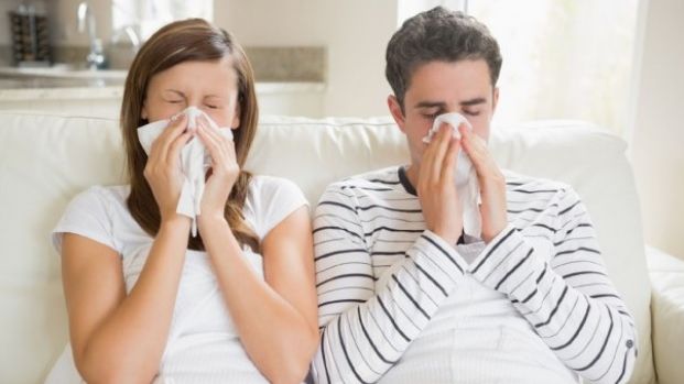 10 plante medicinale care te ajută să păcăleşti răceala