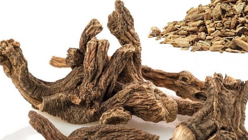 Rădăcina cu rezultate deosebite în tratarea bolilor de ficat  