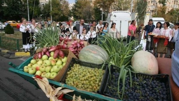 Zilele recoltei din sectorul 5, 200.000 de euro "tocaţi" fără licitaţie 