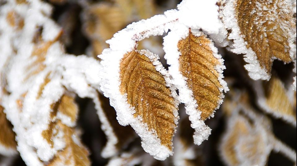 Superstiţii noiembrie: Ce este bine să faci în această lună?