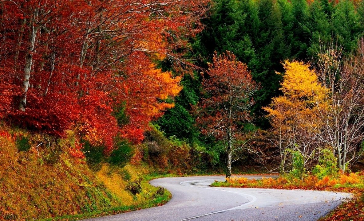 Imagini COPLEŞITOARE filmate din elicopter. Trebuie să le vezi 