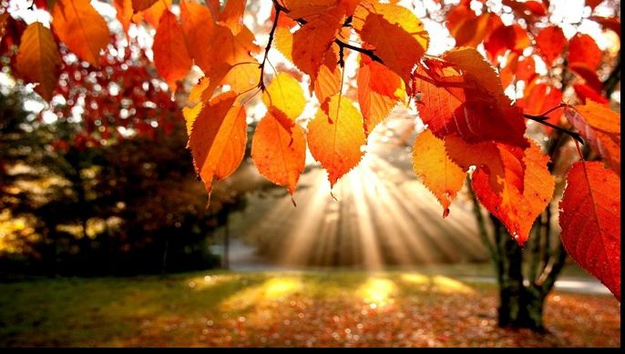 Vremea în weekend: Anunţ de ultimă oră de la meteo