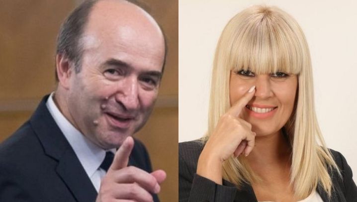 "Să nu facem din personajul Udrea un subiect naţional", spune Tudorel Toader