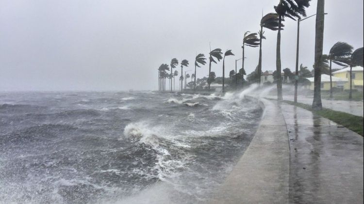 Michael ar putea deveni cel mai devastator uragan care a lovit Florida